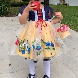 Hand painted Snow White dress